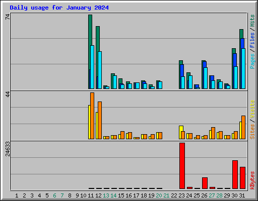 Daily usage for January 2024