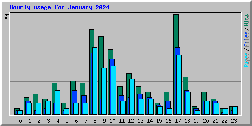 Hourly usage for January 2024