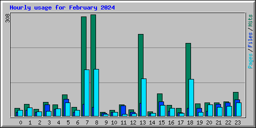 Hourly usage for February 2024