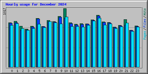 Hourly usage for December 2024