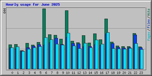 Hourly usage for June 2025