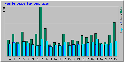 Hourly usage for June 2026