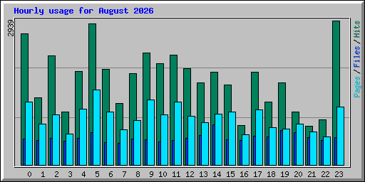 Hourly usage for August 2026